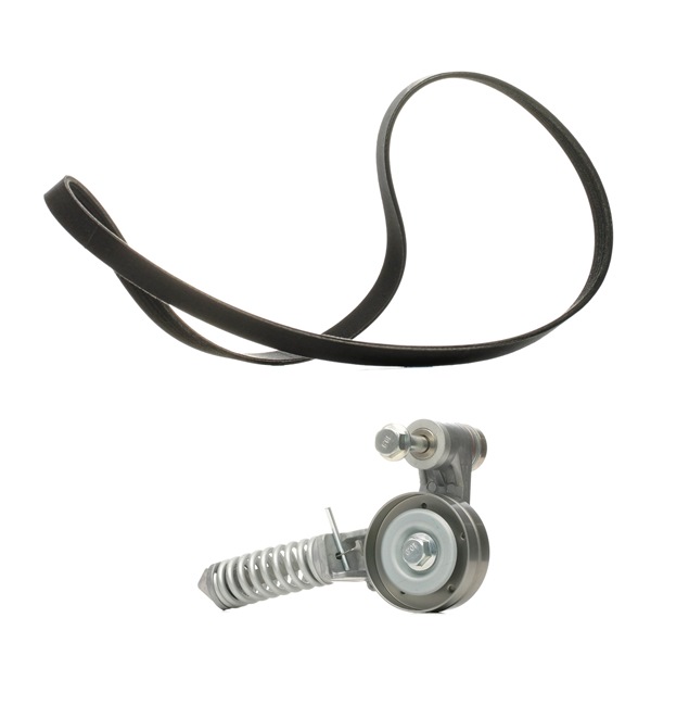 RIDEX PLUS 542R0173P Sada klinového rebrovaného remena Opel Corsa C 1.4 Twinport (F08, F68) 90 KS Benzín cena