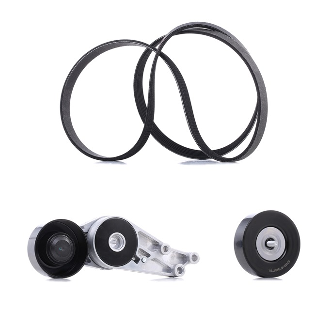 RIDEX PLUS 542R0594P Kit de correias trapezoidais estriadas Audi A4 B7 Avant 1.6 102 cv Gasolina preço