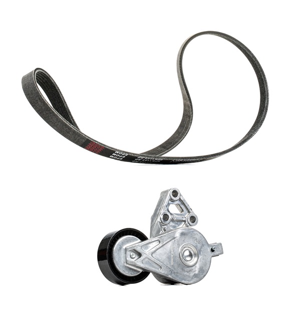 RIDEX PLUS 542R0193P Sada klinového rebrovaného remena Golf 1j5 1.9 TDI 101 KS nafta cena