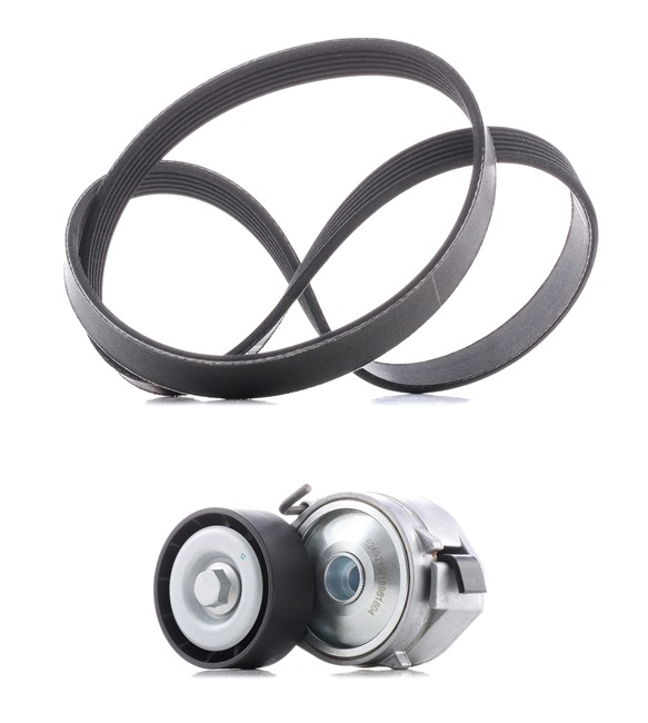 RIDEX PLUS 542R0085P Sada klinového rebrovaného remena Ford S Max wa6 2.0 TDCi 130 KS nafta cena