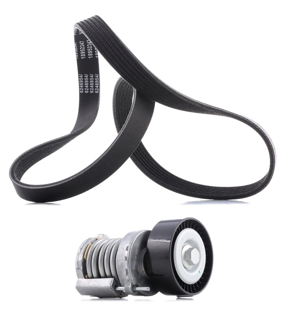 RIDEX PLUS 542R0093P Jeu de courroies trapézoïdales à nervures