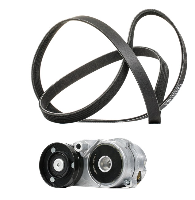 RIDEX PLUS 542R0181P Zestaw paska klinowego wielorowkowego Audi A6 C4 2.8 quattro 193 KM benzyna cena