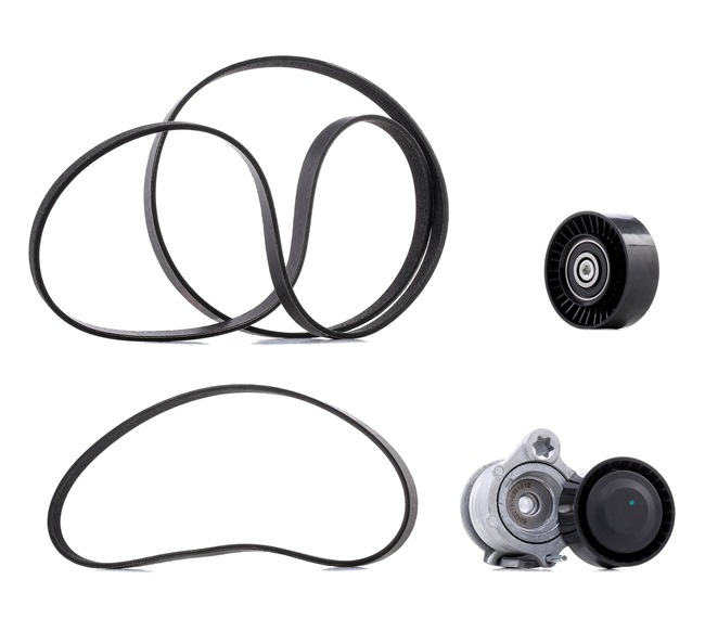 RIDEX PLUS 542R0098P Poly V-riem set