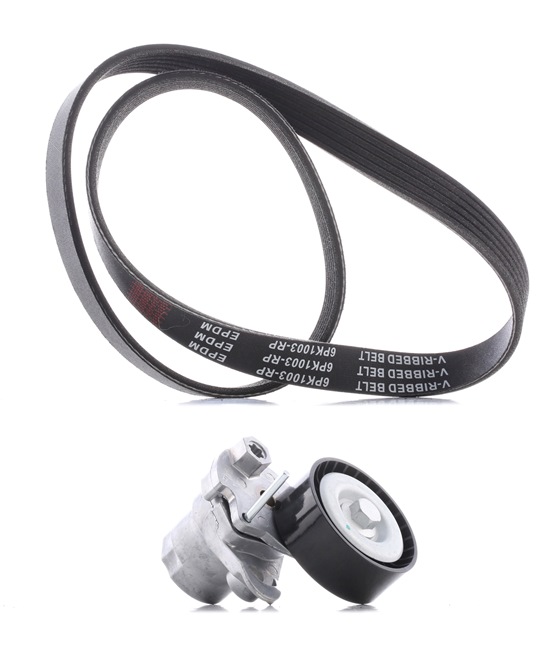 RIDEX PLUS 542R0463P Sada klinového rebrovaného remena Seat Leon 5f 1.4 TSI 125 KS Benzín cena
