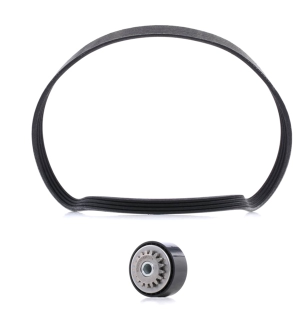 V-Ribbed Belt Set 542R0497P RIDEX PLUS 77 01 477 537 FIAT