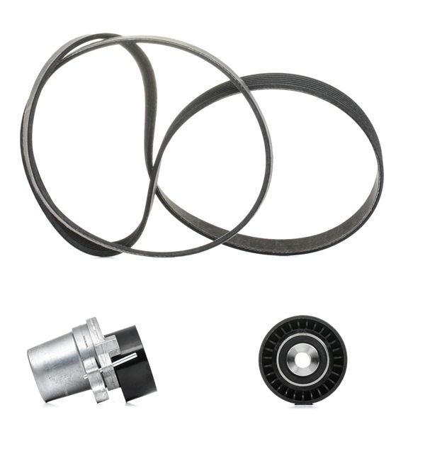 Poulie, tendeur de courroie d'accessoire 542R0315P RIDEX PLUS 11750-7034R RENAULT