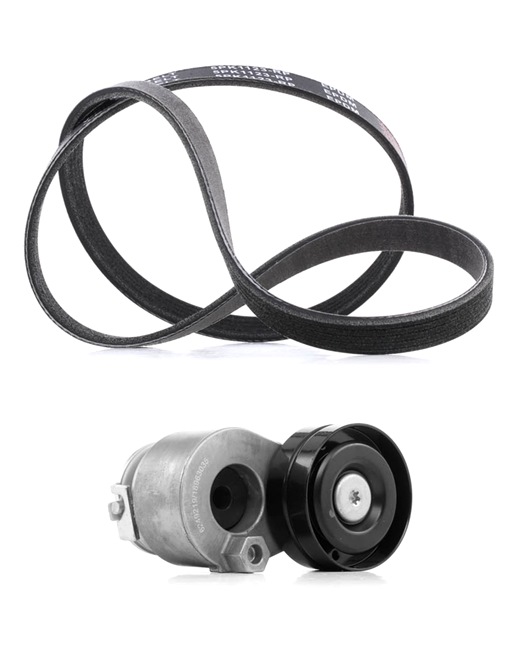 Ozubený klinový remeň 542R0179P RIDEX PLUS 11720 00QAJ Volkswagen
