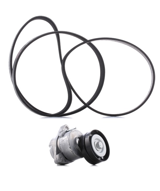 RIDEX PLUS 542R0319P Ozubený klinový remeň - Sada