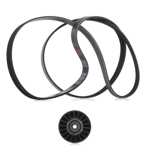 RIDEX PLUS 542R0123P Jeu de courroies trapézoïdales à nervures
