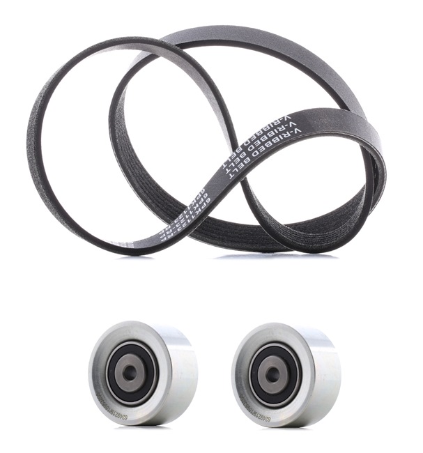 RIDEX PLUS 542R0465P Keilrippenriemensatz CITROËN C3 I Schrägheck (FC, FN) 1.1 i 60 PS Benzin Kosten