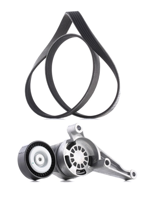 RIDEX PLUS 542R0115P Soonrihmakomplekt VW Golf 1k5 1.9 TDI 105 hj Diisel hind