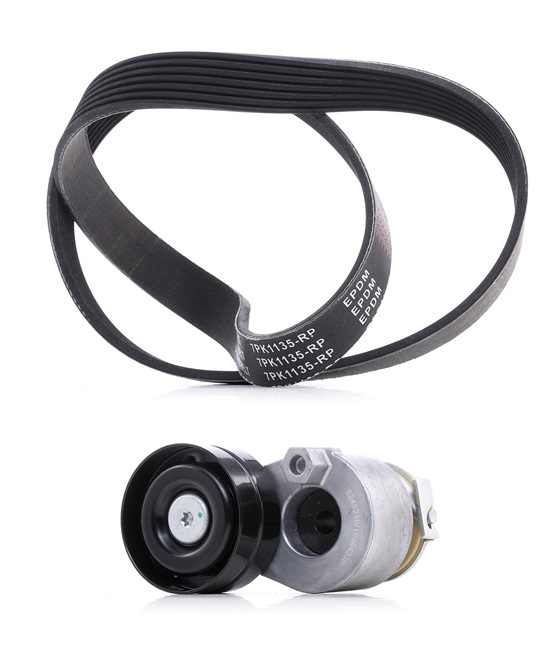RIDEX PLUS 542R0421P Rippenriemen Renault Clio 3 2.0 16V Sport (CR0N, CR1P) 197 PS Benzin Kosten