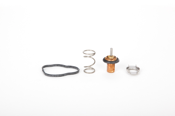 Continental 28.0200-4136.2 Termostato, refrigerante