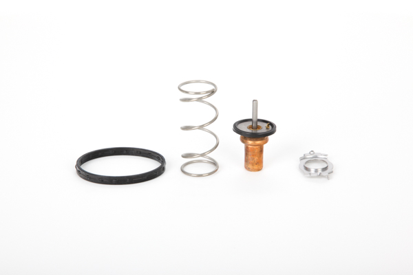 Continental 28.0200-4145.2 Termostato, refrigerante