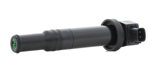 RIDEX PLUS 689C0115P Süütepool