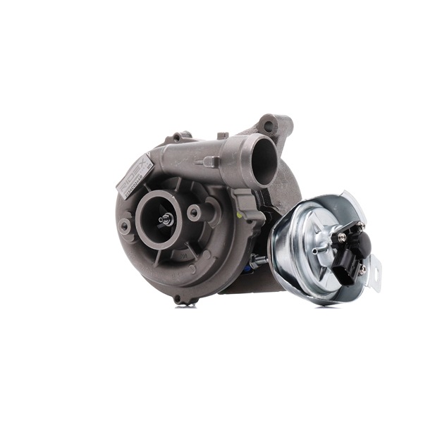 RIDEX REMAN 2234C0244R Turbo pour Ford Focus C-Max DM2 2.0 TDCi 133 CV 2006 G6DC Diesel RIDEX REMAN 2234C0244R Turbo compresseur Ford Focus C-Max DM2 2.0 TDCi 133 CV Diesel 2006