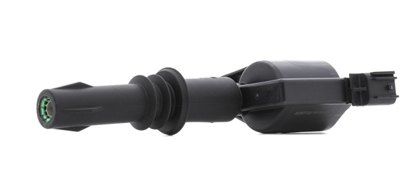 RIDEX PLUS 689C0387P Süütepool