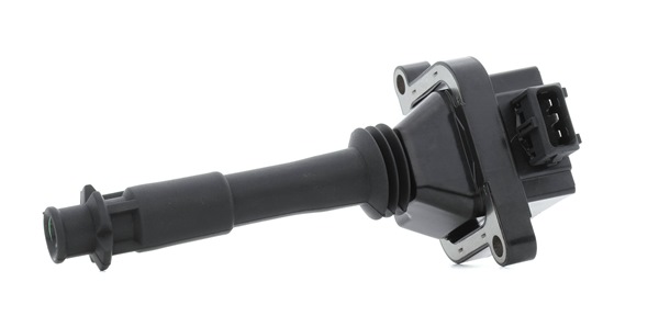 RIDEX PLUS 689C0306P Süütepool