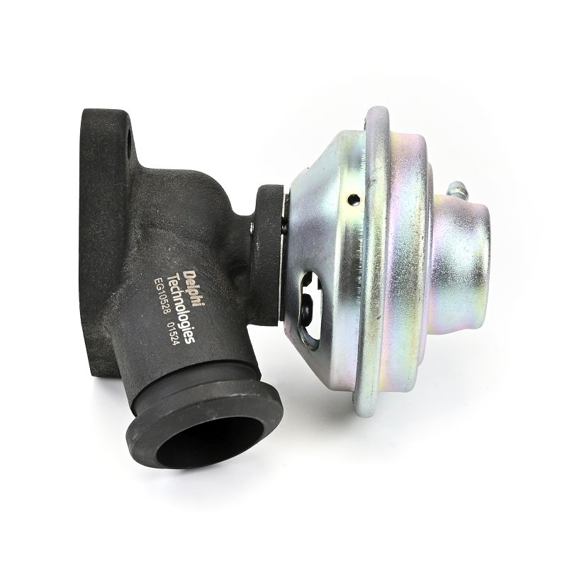 DELPHI Válvula EGR EG10528-12B1 AGR DELPHI Fiat PUNTO EG10528-12B1