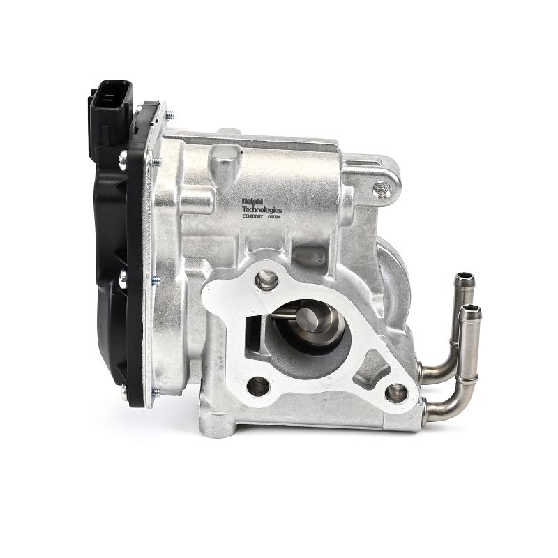 DELPHI EG10607-12B1 AGR - Ventil