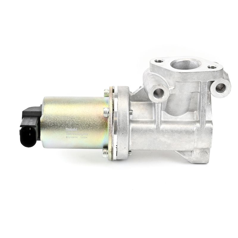 DELPHI EG10614-12B1 AGR-Ventil