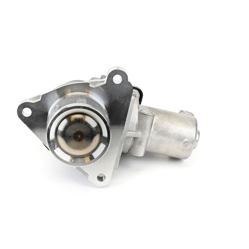 DELPHI EG10617-12B1 Original KIA AGR Ventil Kosten