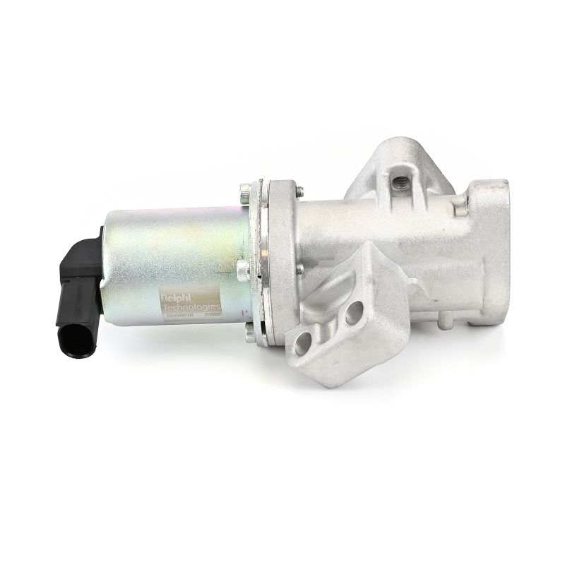 DELPHI EG10618-12B1 AGR-Ventil