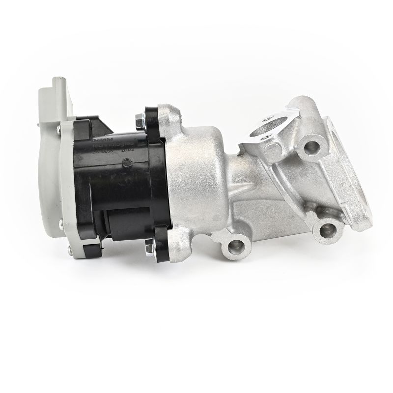 DELPHI EG10635-12B1 EGR valve