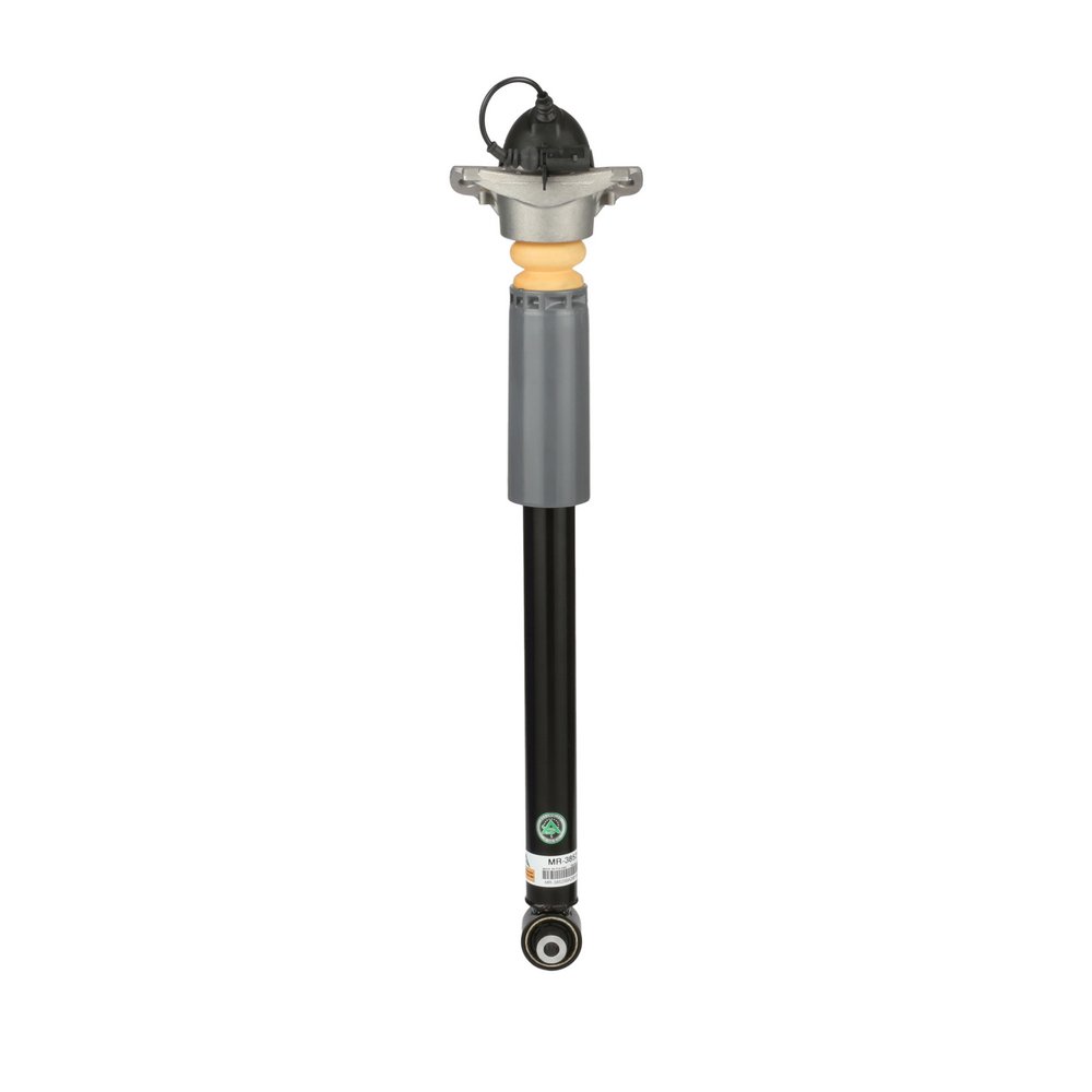 Arnott MR-3852 Stoßdämpfer
