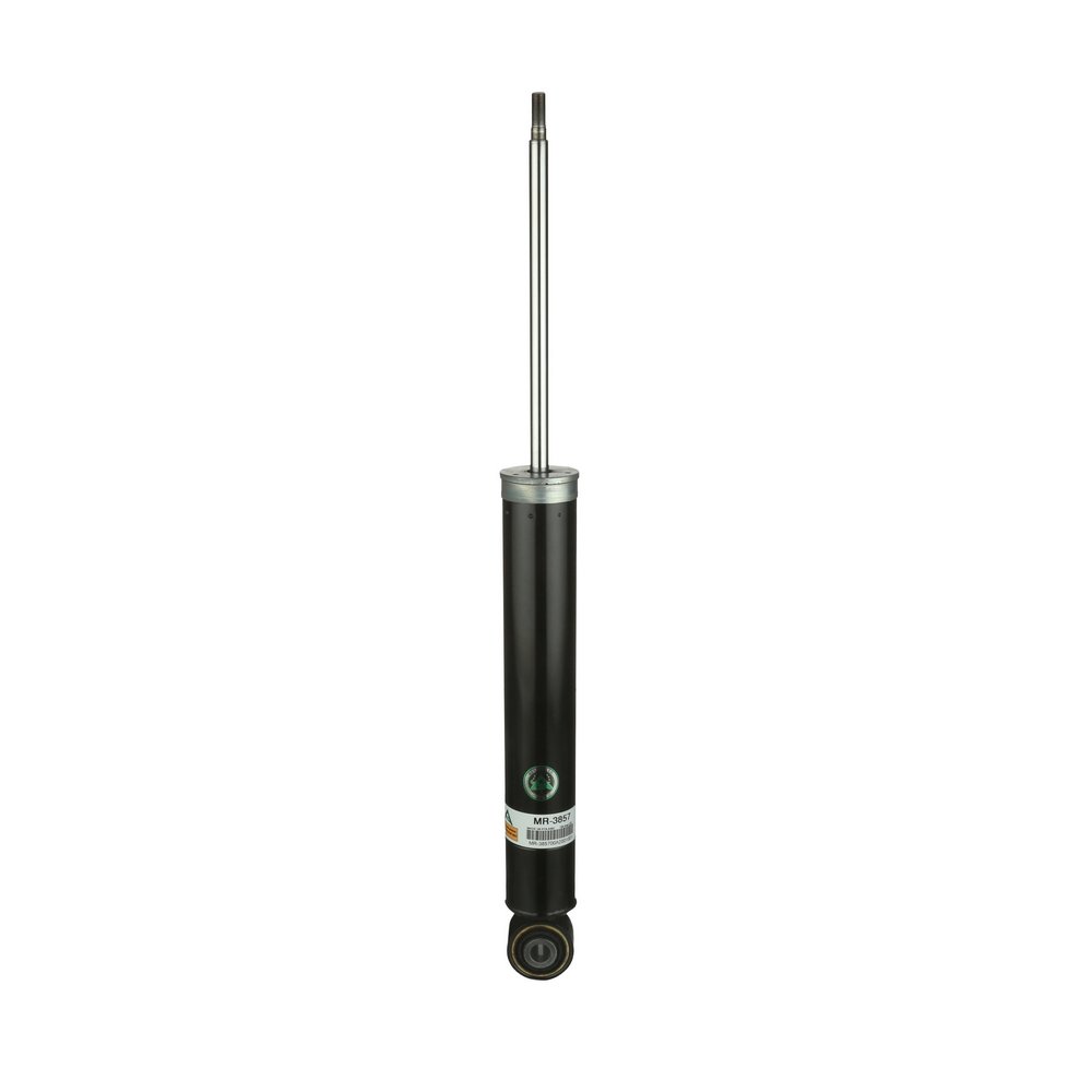 Amortisseur FORD USA Arnott MR-3857