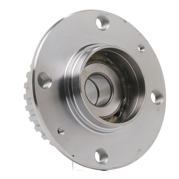 SNR R166.30 Wheel bearing kit