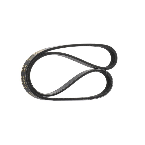 Multiriem 305P0019P RIDEX PLUS MD 172 376 RENAULT