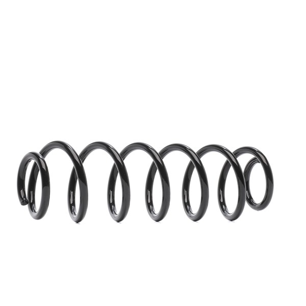 RIDEX 188C2227 Federn AUDI A3 8v 2.0 TDI 136 PS Diesel Kosten