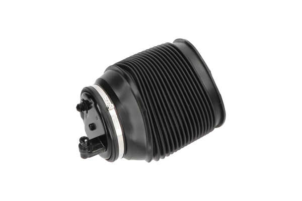 KAVO PARTS SAS-10012 originele Luchtveerbalg TOYOTA LAND CRUISER prijs