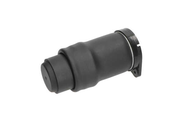 SAS-10021 Luftfeder, Fahrwerk KAVO PARTS 6383280501 MERCEDES-BENZ