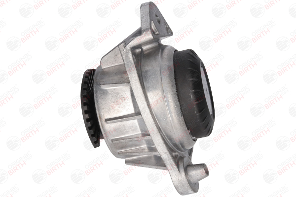 53566 BIRTH Motorlager Mercedes W447 Wechseln Kosten