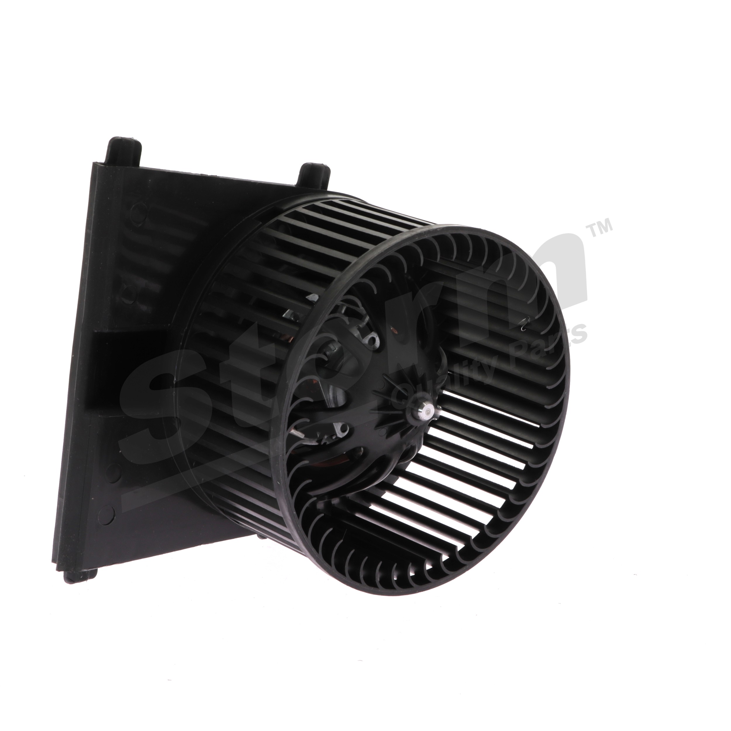 STORM QUALITY PARTS Ventilador habitáculo 9650801 Ventilador de habitáculo STORM QUALITY PARTS SEAT 9650801