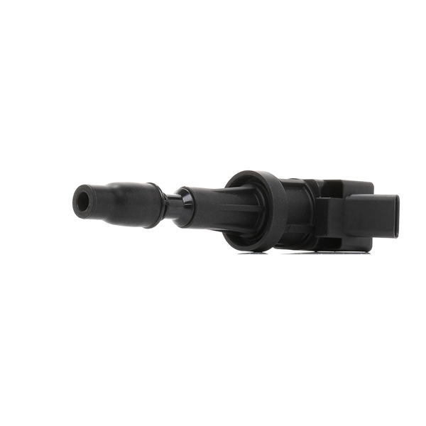 RIDEX 689C0501 Süütepool