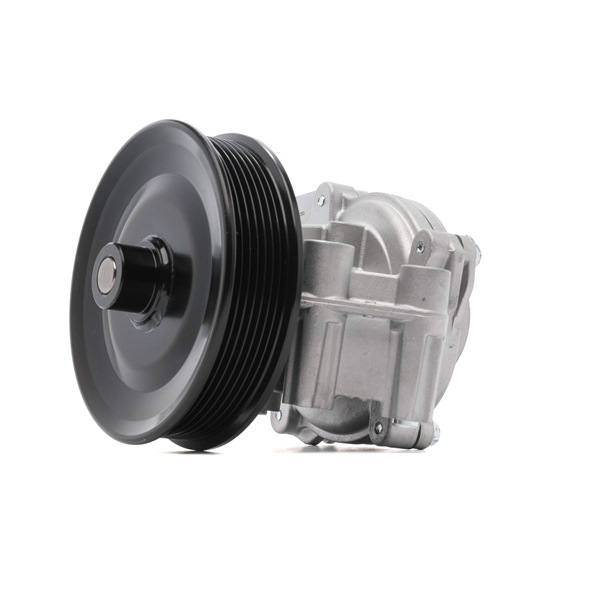 RIDEX 1260W0987 Pompe à eau