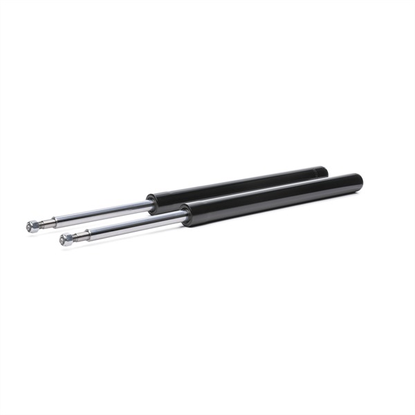 RIDEX 854S19082 BMW E30 Convertible 320 i 129 hp Petrol Shocks price