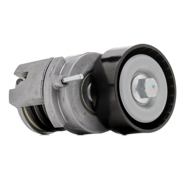 RIDEX 310T0730 Poulie de courroie d'accessoire VW Jetta mk6 1.6 105 CV Essence prix