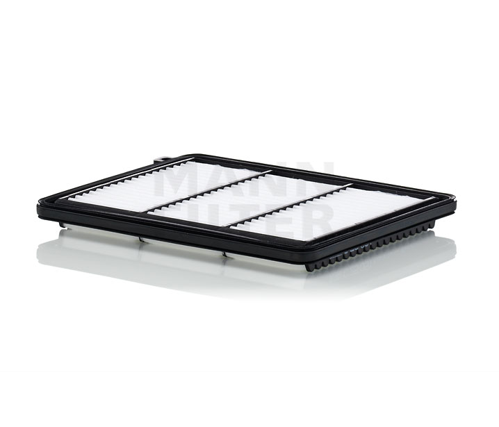 MANN-FILTER C 25 051 Filtro aria