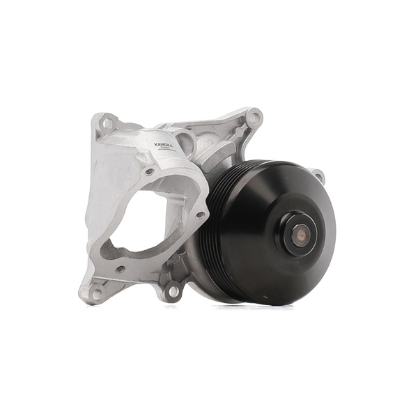 Pompe à eau T0301 KAMOKA 11517810833 ALPINA