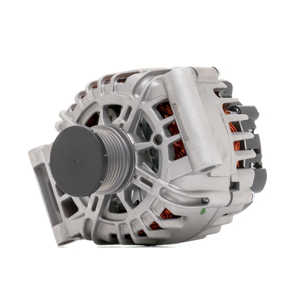 Alternateur 4G1121R RIDEX REMAN A3 TG5 291 Alternateur 4G1121R RIDEX REMAN A3 TG5 291 DS