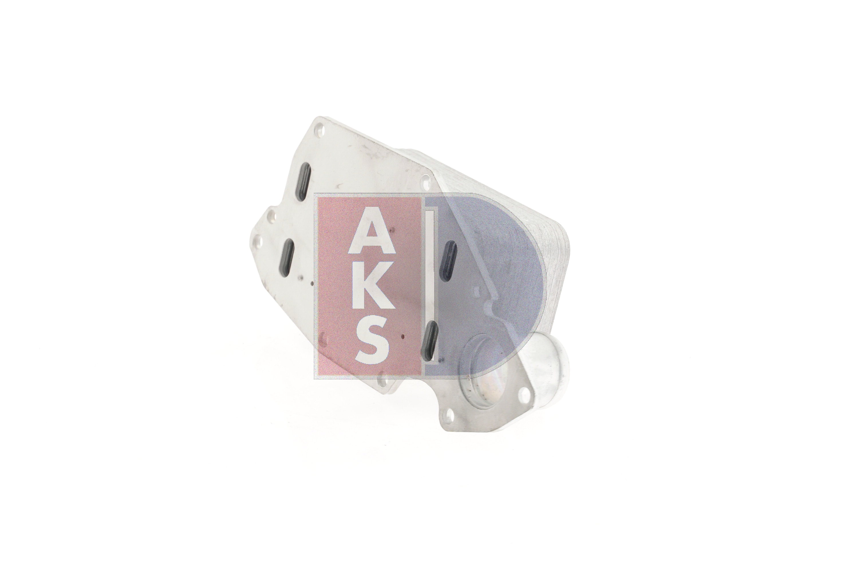 AKS DASIS Ψυγείο λαδιού, λάδι κινητήρα 186019N Ψυγείο λαδιού AKS DASIS Renault CLIO 186019N