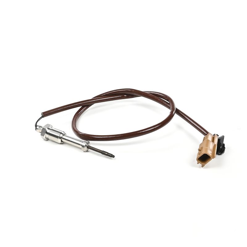 DELPHI TS30351-12B1 Sensor, eksostemperatur