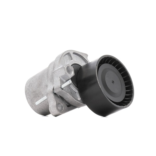Spanrol, poly V-riem 310T0302P RIDEX PLUS 1195 500 Q0G OPEL