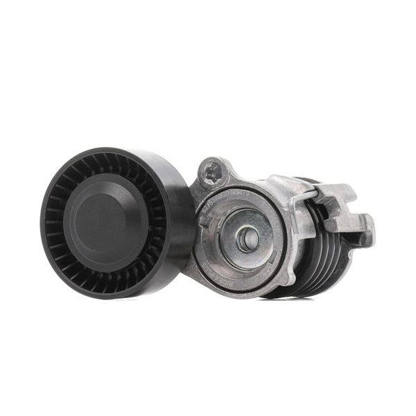 RIDEX PLUS 310T0057P Spannrolle Skoda Fabia 2 1.2 LPG 60 PS Benzin/Autogas (LPG) Kosten