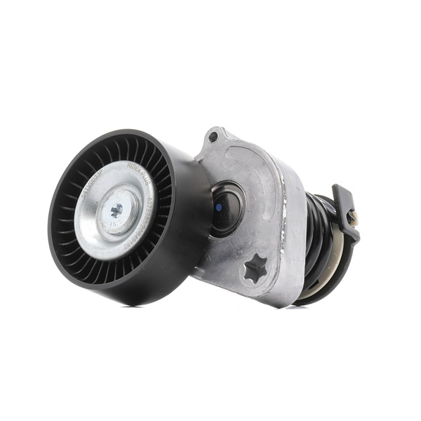 RIDEX PLUS 541V0033P Riemenspanner, Keilrippenriemen Sprinter 906 316 NGT 1.8 (906.633, 906.635) 156 PS Benzin/Erdgas (CNG) Kosten