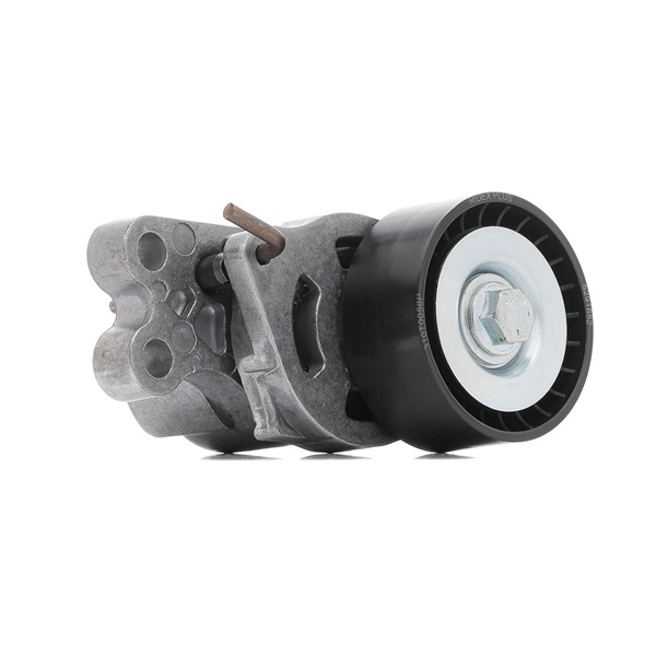 RIDEX PLUS 310T0056P Spanrol, poly v-riem Peugeot 206 2a/c 1.1 54 Pk Benzine prijs